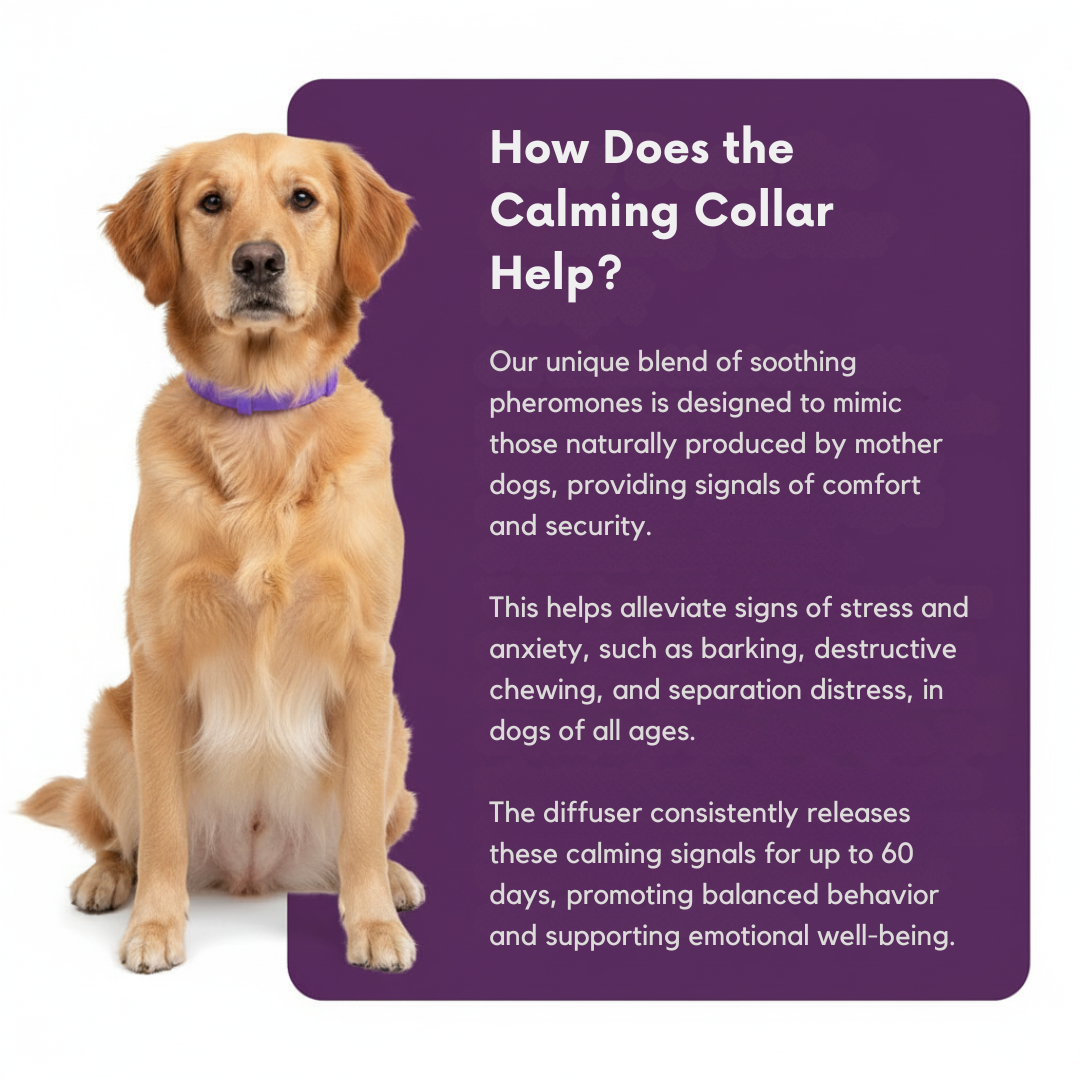 PawQube™ - Calming Collar for Dogs